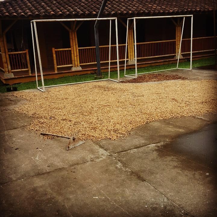 Finca El Diamante Βίλα Calarcá Εξωτερικό φωτογραφία