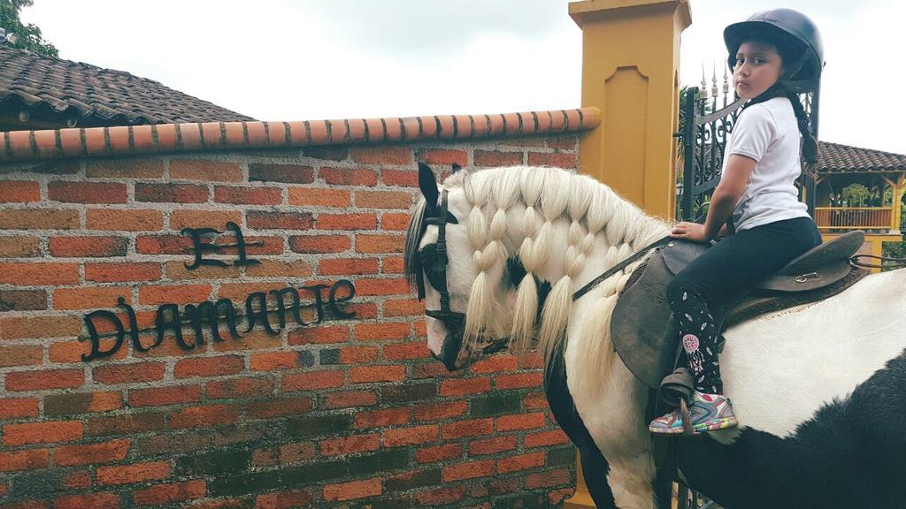 Finca El Diamante Βίλα Calarcá Εξωτερικό φωτογραφία