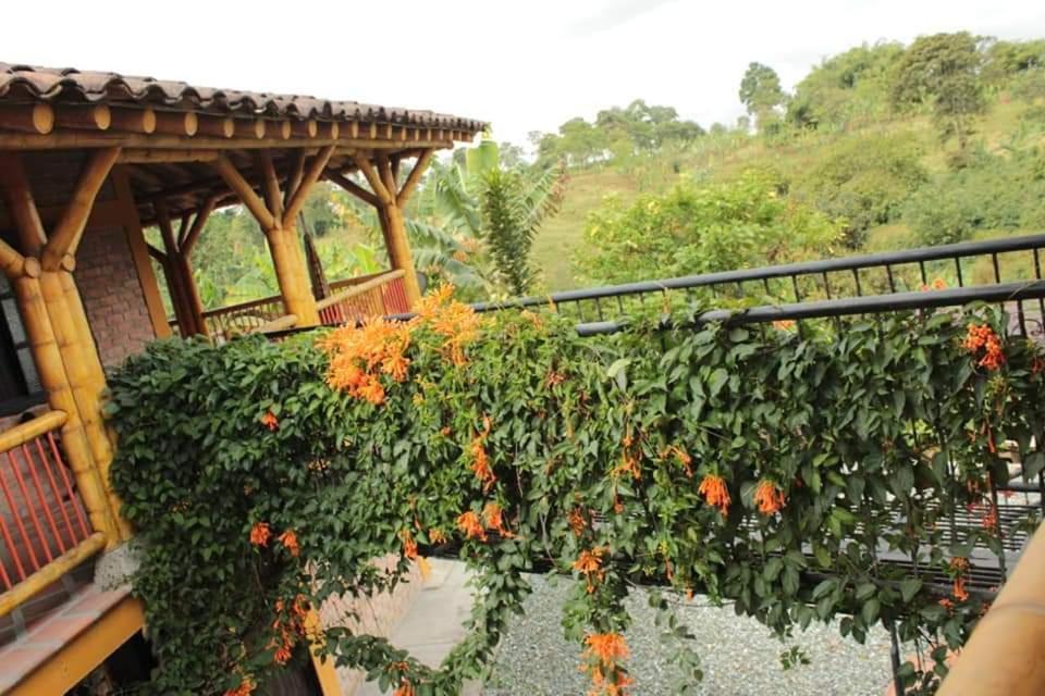 Finca El Diamante Βίλα Calarcá Εξωτερικό φωτογραφία