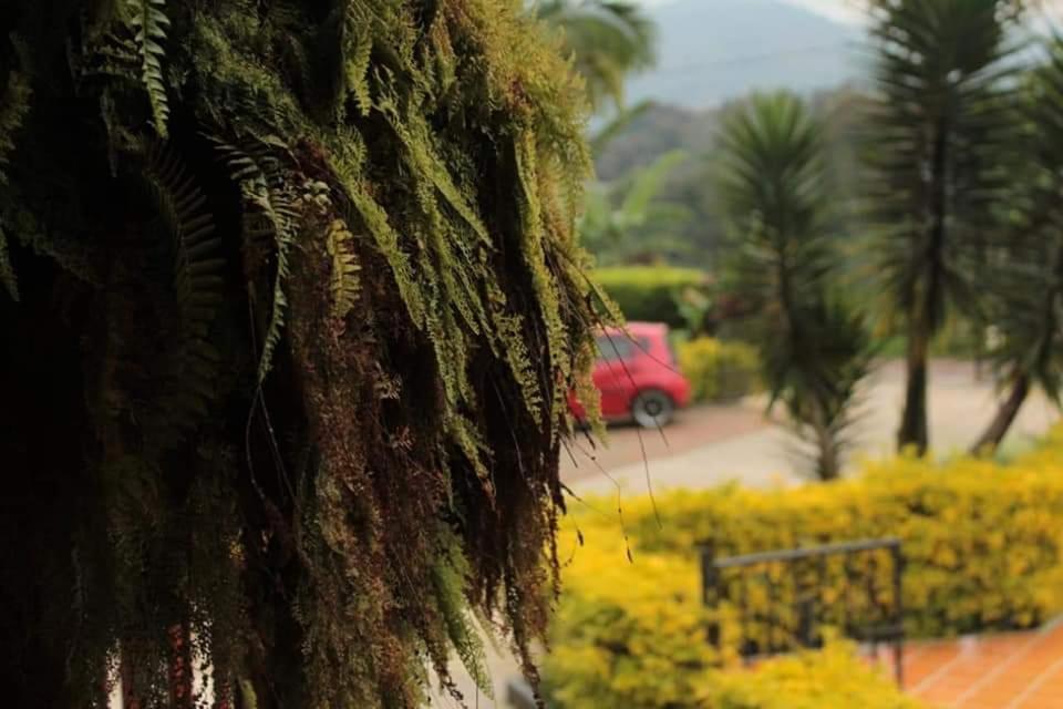 Finca El Diamante Βίλα Calarcá Εξωτερικό φωτογραφία